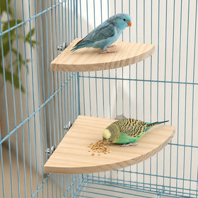 Two wooden bird perches mounted inside a blue metal bird cage, with a blue bird standing on the upper perch and a green-and-yellow budgerigar eating from the lower perch.