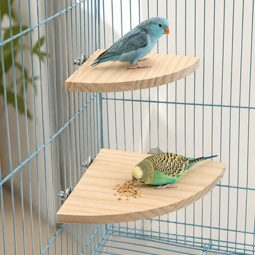 Two wooden bird perches mounted inside a blue metal bird cage, with a blue bird standing on the upper perch and a green-and-yellow budgerigar eating from the lower perch.